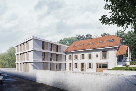 Un nouveau foyer pour nos compagnons