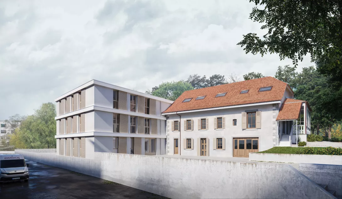 Un nouveau foyer pour nos compagnons